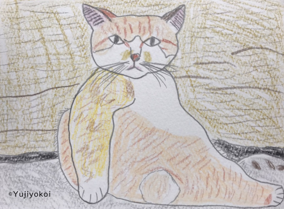 日々のスケッチ クーピーで描く 猫たち 童画家 横井佑次