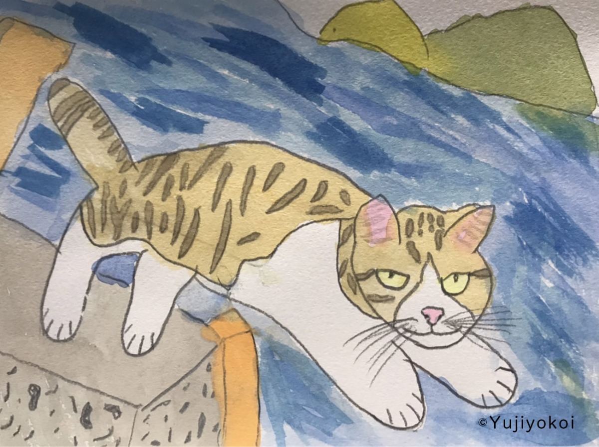 日々のスケッチ】水彩絵の具で描く！猫たち | 童画家 - 横井佑次